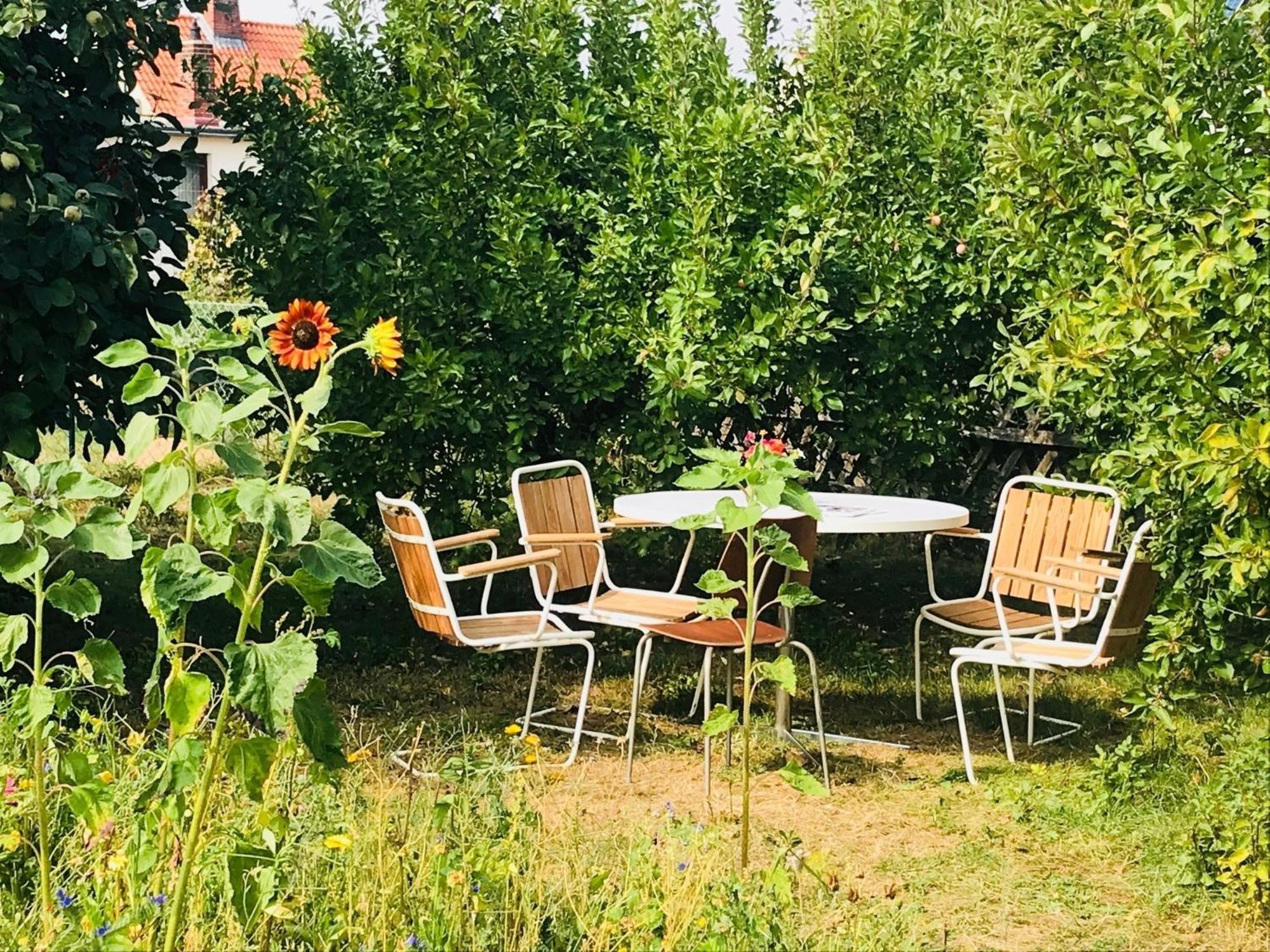 Casa Marcu Wohnung 1 Og Landkirchen Екстериор снимка
